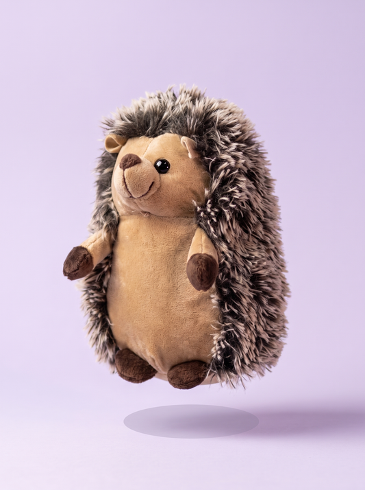 Hedgie the Happy Hedgehog 🦔